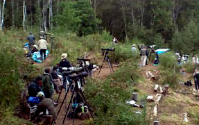 wasitaka_sirakabatouge