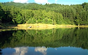 夏のながわフィッシングエリア