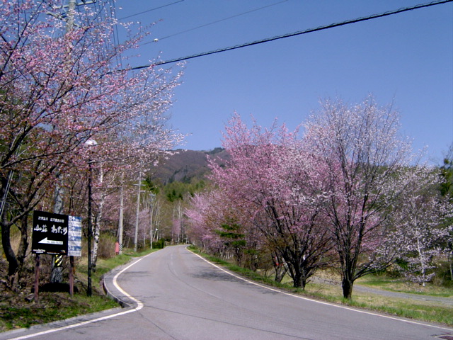 温泉宿山荘わたりの入り口看板