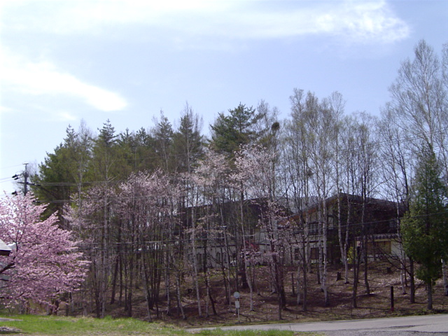 池から見た温泉宿山荘わたり