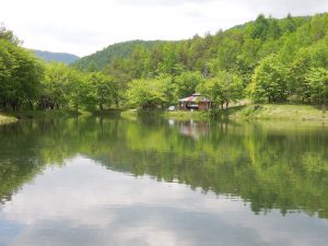ながわフィッシングエリア、池の奥から管理等を望む ながわフィッシングエリア、池の奥から管理等を望む